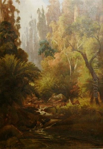 Forest Landscape With Stream Oil Painting by George Alfred John Webb