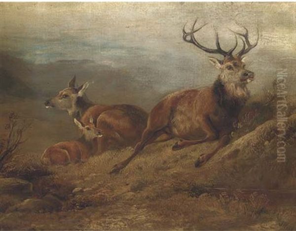 A Stag, Hind And Doe In A Landscape Oil Painting by John Cother Webb