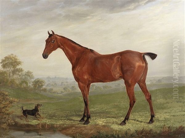 A Chestnut Horse In A Landscape With Terrier Oil Painting by William Webb