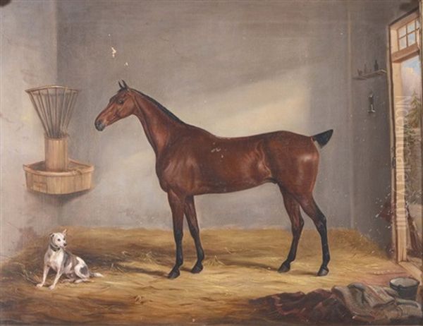 A Bay Horse In A Stable With Dog Oil Painting by William Webb