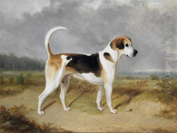 Portrait Of A Foxhound With A Hunt In The Background Oil Painting by William Webb