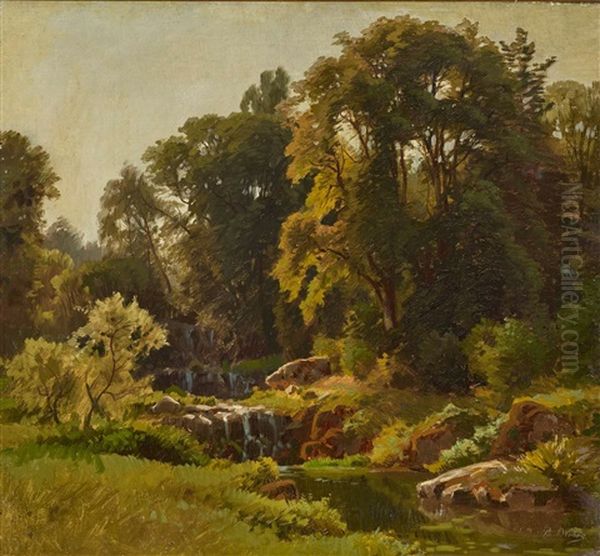 A Forest Creek Oil Painting by Paul Weber