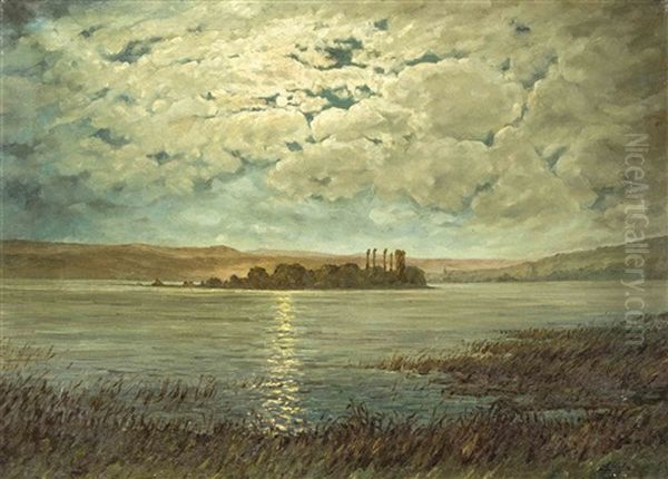 Die Insel Lutzelau Im Zurichsee Bei Mondschein Oil Painting by August Weber