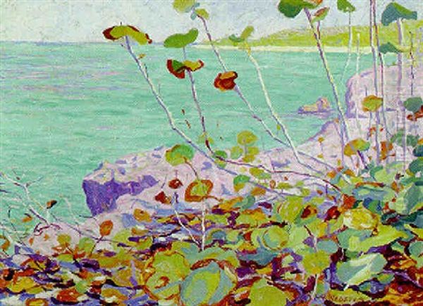 Wild Grape, Bermuda Oil Painting by E. Ambrose Webster