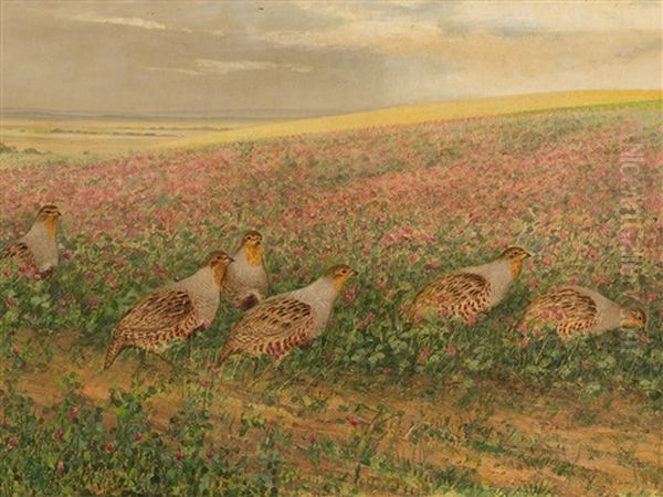 Quails On A Field Of Flowers Oil Painting by Alfred Weczerzick