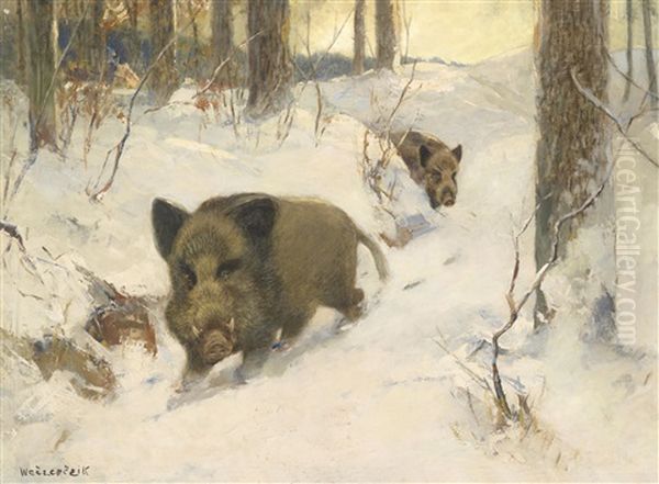 Wildschwein Im Winterwald Oil Painting by Alfred Weczerzick