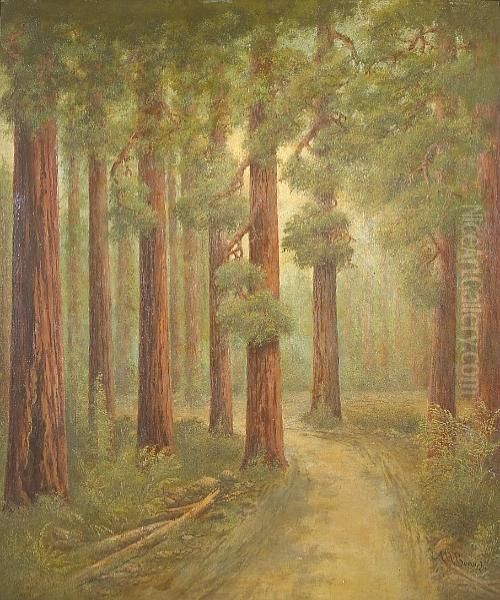 A Road In The Redwoods Oil Painting by Alphonso Herman Broad