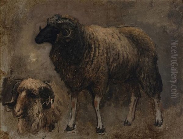 Study Of A Ram Oil Painting by Edwin Lord Weeks