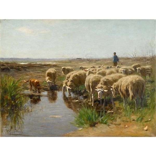 Sheep Watering Oil Painting by Herman Johannes van der Weele