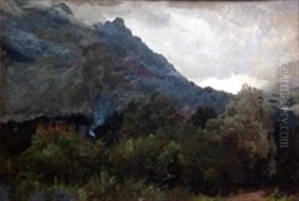 Mountain Scene Oil Painting by Bertha Wegmann