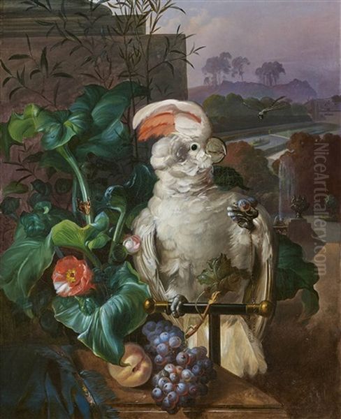 White Court Cockatoo Oil Painting by Sebastian Wegmayr