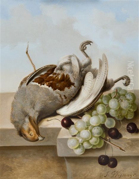 Stillleben Mit Trauben, Kirschen Und Einem Greifvogel Oil Painting by Sebastian Wegmayr