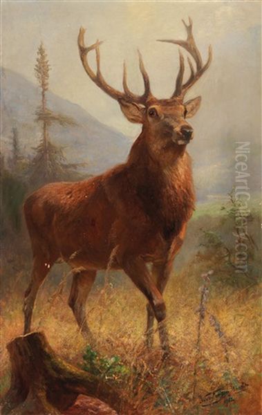 Trophy Stag In An Open Landscape Oil Painting by Anton Weinberger