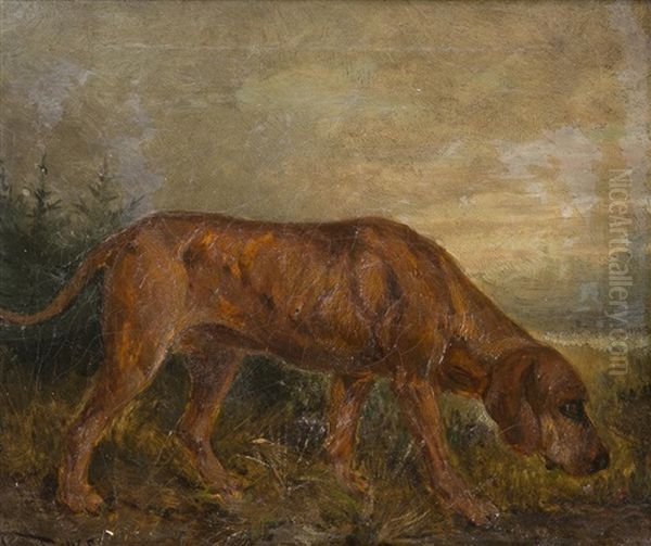 A Hungarian Hound Oil Painting by Anton Weinberger