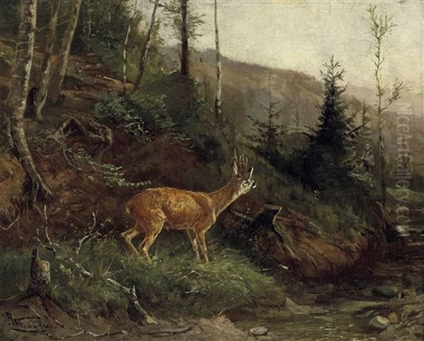 Rehbock Und Jager Im Hochwald Oil Painting by Anton Weinberger