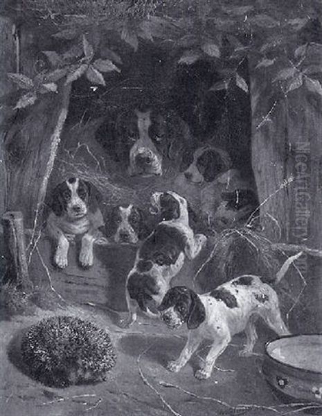 Junghunde Vor Der Hundehutte Verbellen Einen Igel Oil Painting by Anton Weinberger