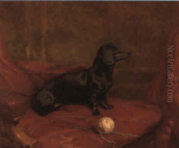 A Daschund On An Armchair Oil Painting by Harrison William Weir