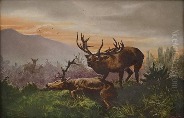 Cerf Agonisant Oil Painting by Emile Georges (Geo) Weiss