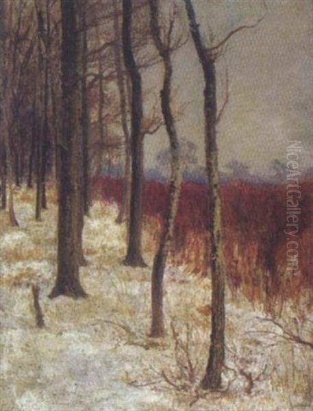 Waldlandschaft Im Winter Oil Painting by Karl Weiss