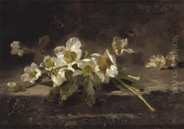 Weise Anemonen Oil Painting by Olga Weiss