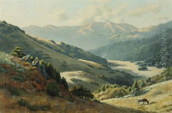 Pastoral Splendor, Cattle Along A Marin Hillside Oil Painting by Ludmilla Pilat Welch