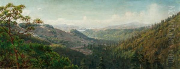 Mountain Landscape Oil Painting by Thaddeus Welch