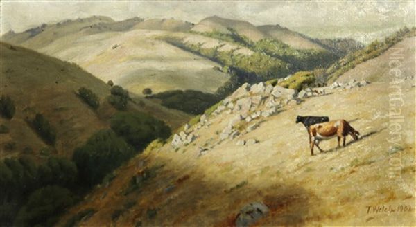 Cattle Grazing In Marin Hills Oil Painting by Thaddeus Welch