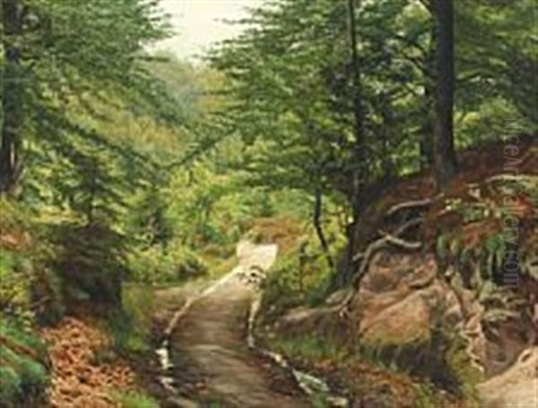 Forest Path With Beech Trees At Munkebjerg Oil Painting by Emil August Theodor Wennerwald