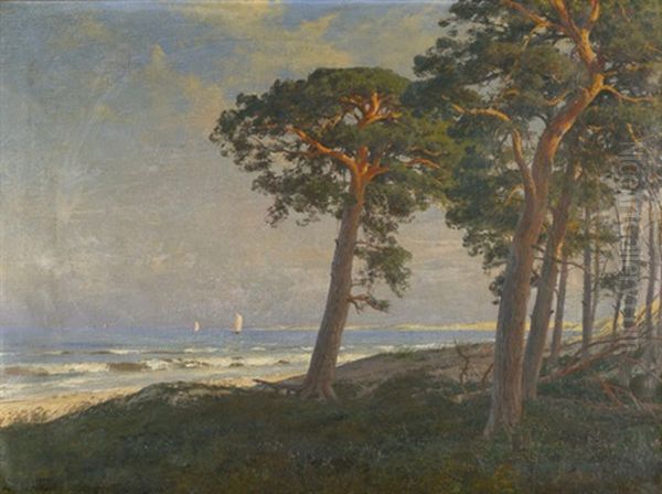 Abendstimmung Auf Dem Darss Oil Painting by Julius Wentscher