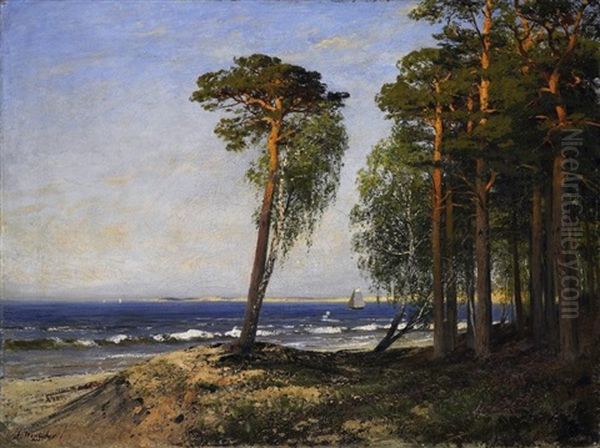 Segler Vor Der Ostseekuste. Kurische Nehrung(?) Oil Painting by Julius Wentscher