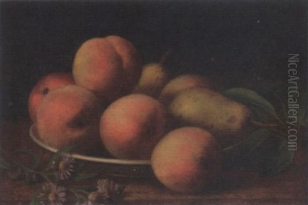 Peaches And Pears On A Wooden Ledge Oil Painting by Wilhelmina Wenzler