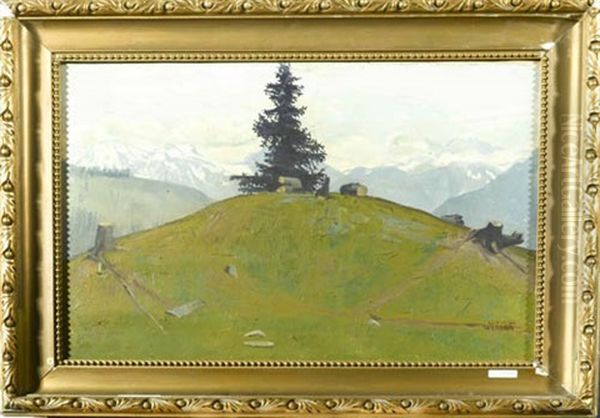 Bewaldete Berglandschaft Oil Painting by Ludwig Werlen