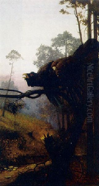 Balzender Auerhahn Im Morgendlichen Gegenlicht Oil Painting by Adolf Werner