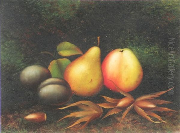 Still Life Of Apples, Pears And Plums (+ Another; Pair) Oil Painting by Carl Friedrich Heinrich Werner