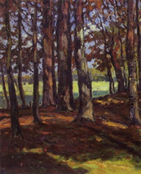 Baume Am Waldrand In Der Herbstsonne Oil Painting by Max Werner