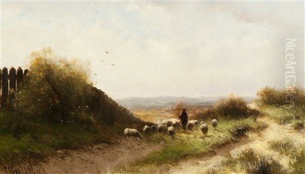 Shepherd With Flock Of Sheep In A Heather Landscape Oil Painting by Cornelis Westerbeek Jr.