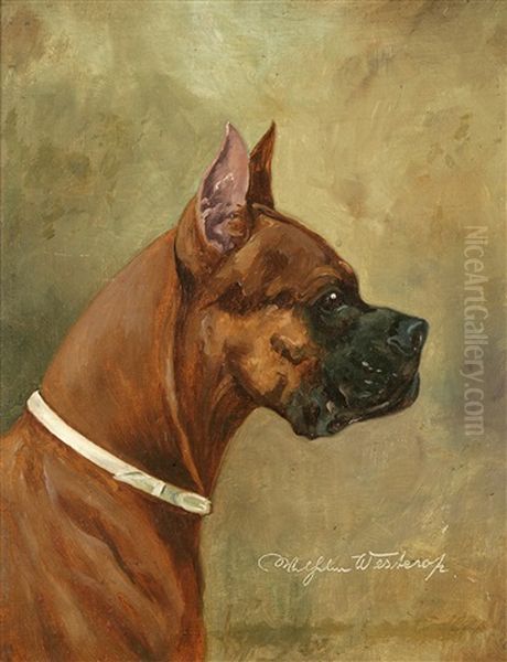 Boxer In Profile Oil Painting by Wilhelm Westerop