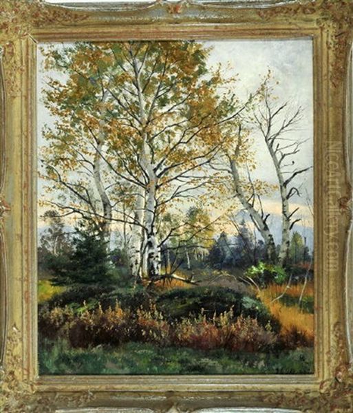 Hochmoorlandschaft Mit Birken Im Herbst Oil Painting by Adalbert Wex