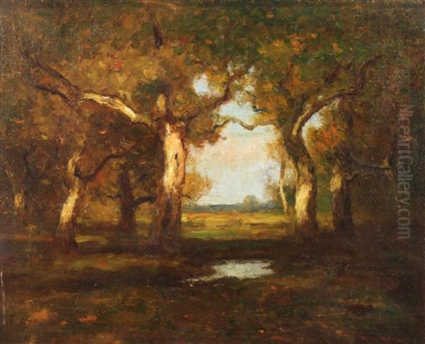 Forest Pool Oil Painting by Max Weyl