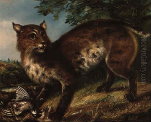 The Wildcat Oil Painting by John Hicks Whale