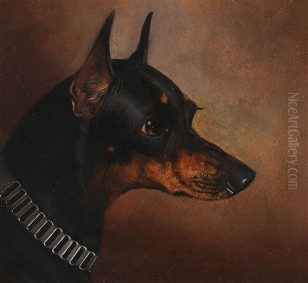 Head Study Of A Manchester Terrier Oil Painting by Alfred Wheeler