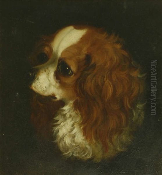 Head Of A King Charles Spaniel; Head Of A Terrier Oil Painting by Alfred Wheeler