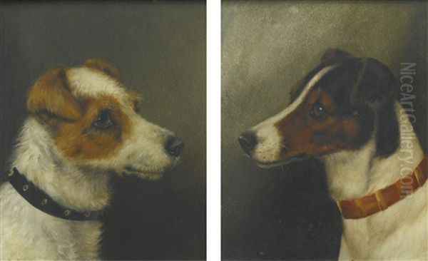 Two Heads Of Fox Terriers Oil Painting by Alfred Wheeler