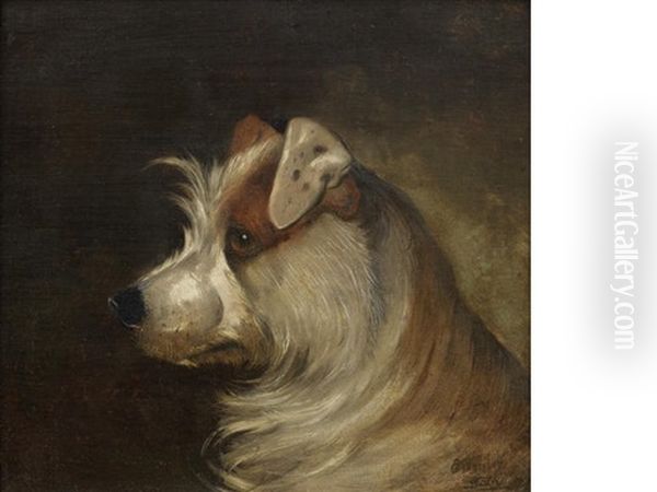 A Brown And White Terrier Oil Painting by Alfred Wheeler