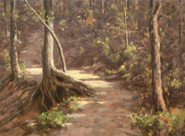 Woods Trail by Clifton A. Wheeler