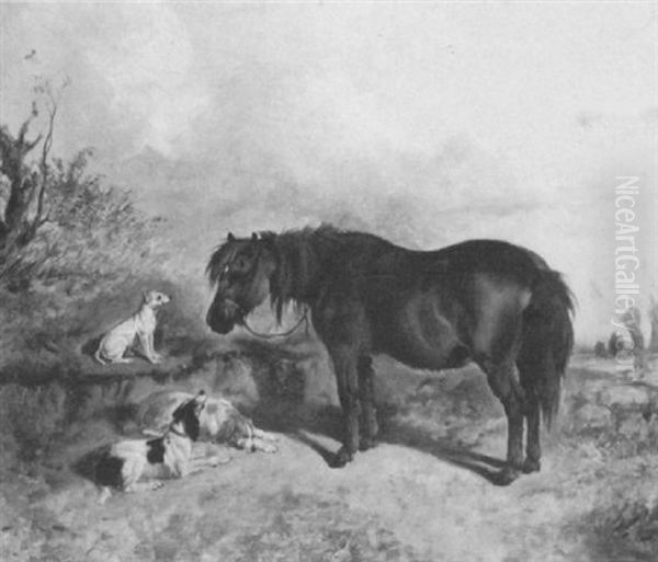 Pony And Spaniels In A Landscape Oil Painting by James Thomas Wheeler