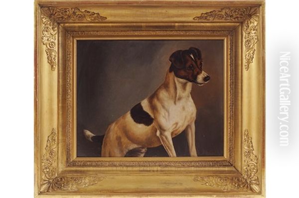 Study Of A Jack Russell Oil Painting by John Arnold Alfred Wheeler