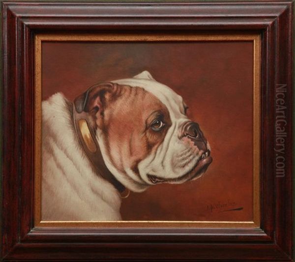 Bull Dogs: A Pair Of Portraits Oil Painting by John Arnold Alfred Wheeler