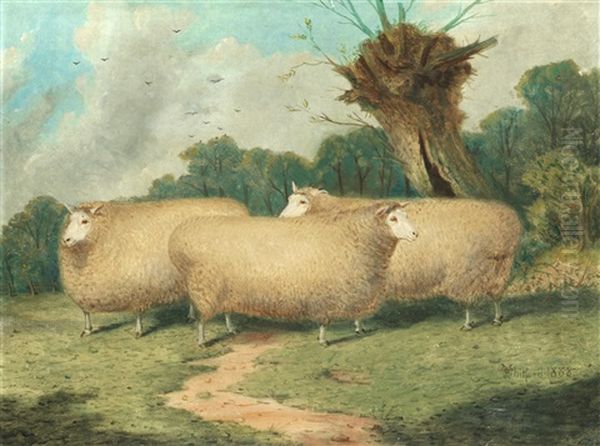 Lincoln Ewes by Richard Whitford Jr.