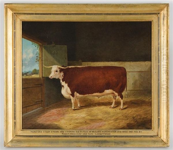 Hereford Steer, 3 Years And 3 Months Old, First Prize, Manchester, Bred And Fed By Messrs Heighway And Son, Leebotwood Oil Painting by Richard Whitford Jr.